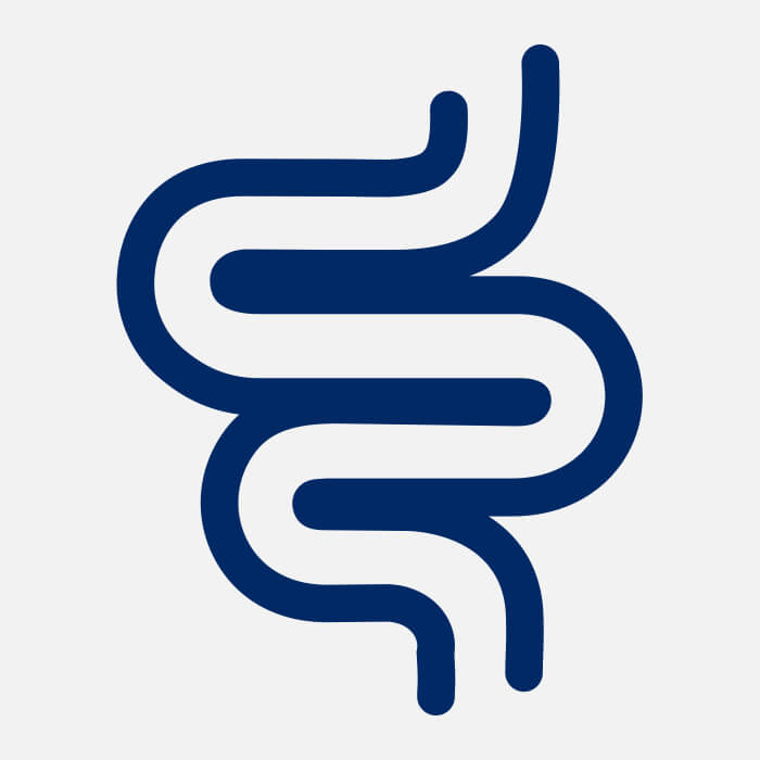 Bowel icon.